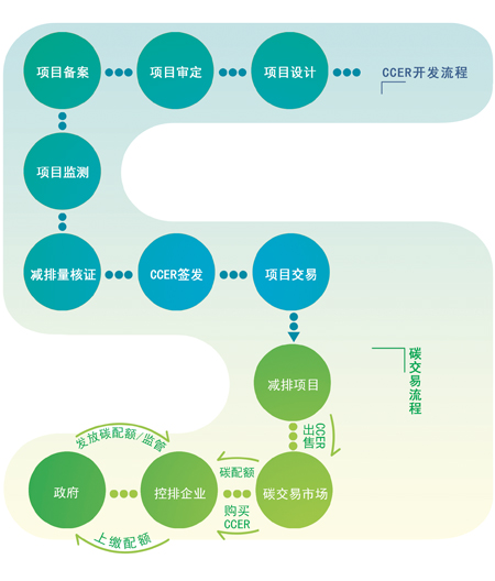 项目开发领域